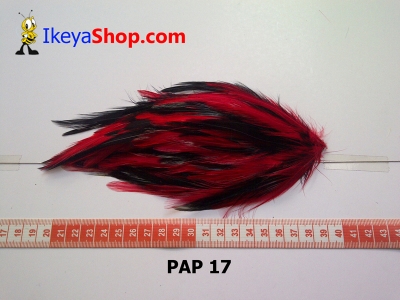 bulu PAD polos PAP 17   feather  large2